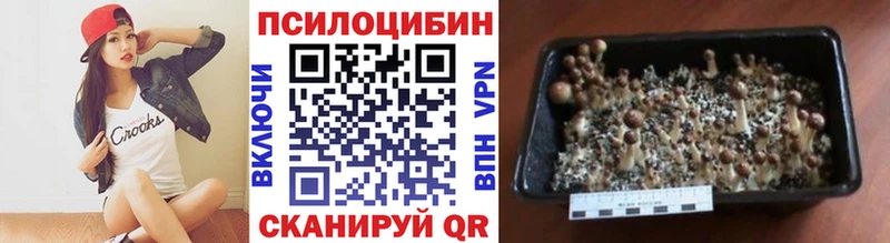 Псилоцибиновые грибы Cubensis  Великий Новгород 